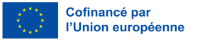Cofinance par l Union europeenne V2