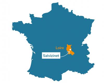 Salvizinet